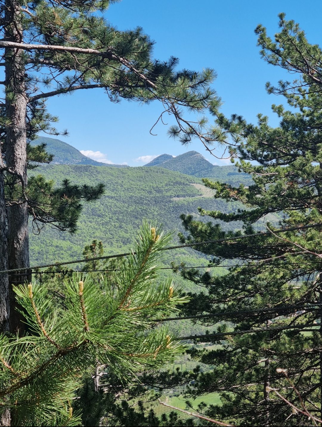 Photographie panoramique prise depuis les hauteurs du parc accrobranche à Nyons 🌲. Au premier plan, les arbres et la forêt du domaine s'étendent vers une vallée verdoyante. Au loin, une succession de collines et de montagnes sauvages se déploie sous un ciel clair, créant un horizon naturel préservé, sans vue sur le Mont Ventoux.