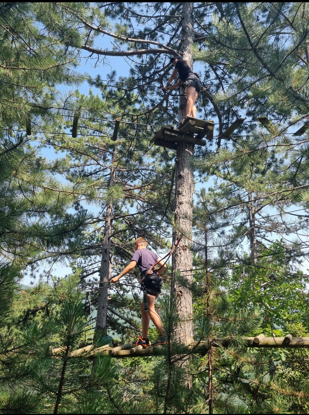 Vue verticale montrant deux niveaux d'action à l'accrobranche de Nyons. En bas, sur le parcours bleu 🔵, un Jeune Écuyer ⚔️ franchit un atelier avec application. Juste au-dessus de lui, sur le parcours marron, un autre Baron progresse sur des poutres suspendues. Les deux aventuriers, bien que sur des parcours différents, partagent le même espace forestier.